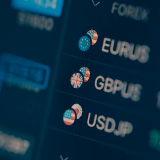 panel with flags of countries representing multi-currency